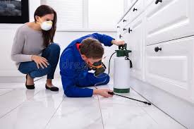 Best Pest Control for Multi-Family Homes  in Ringgold, GA